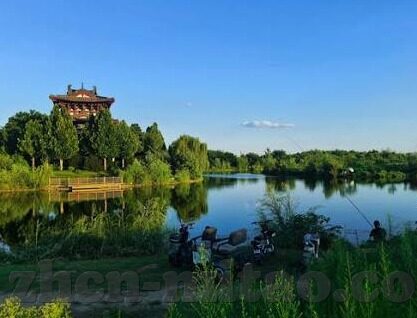 成人女人视频在线播放-成人世界的一扇窗，成人女人视频在线播放的多元视角
