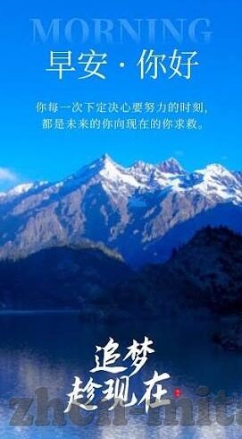 成人手机免费视频-成人手机免费视频，信息时代的娱乐新选择