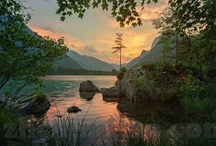 大象传媒天美传媒新版-探索大象传媒与天美传媒新版，革新与融合的传媒新篇章