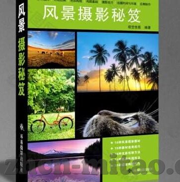 久久久精品国产亚洲av麻豆-