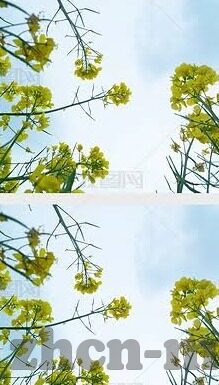 色一情一区二区三区四区-探索网络世界的多元视角，色一情一区二区三区四区的理性分析