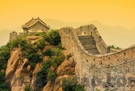 谁有成人手机视频网站-成人手机视频网站，信息时代的隐私与选择