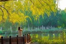 糖心app苹果怎么下载-在苹果设备上轻松下载糖心app