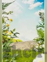 糖心app破解版下载-糖心app的诱惑——探秘与风险