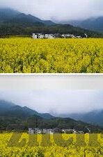 糖心app色下载安装-甜蜜的数字陷阱，探秘糖心世界的一场警醒